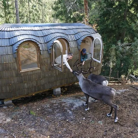 Igluhut - Sleep With Reindeer Semesterbostad