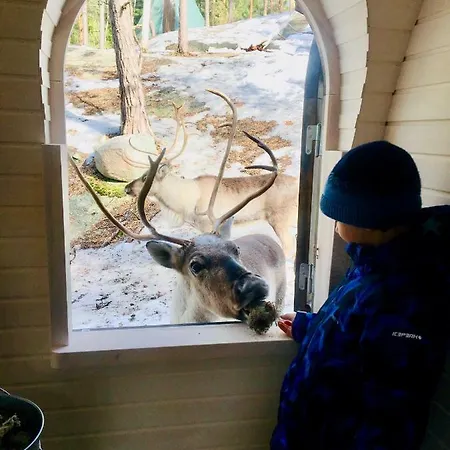 Semesterbostad Igluhut - Sleep With Reindeer