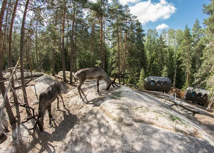 Igluhut - Sleep With Reindeer * Espoo