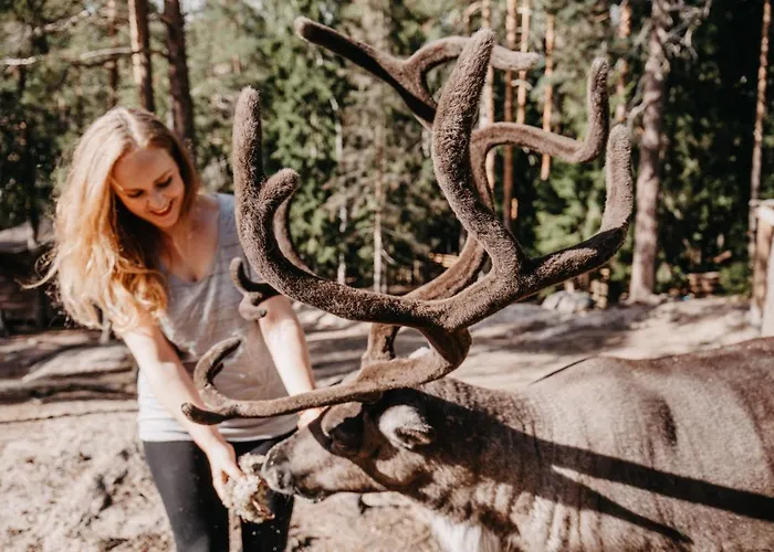 Igluhut - Sleep With Reindeer Loma-asunnot Espoo