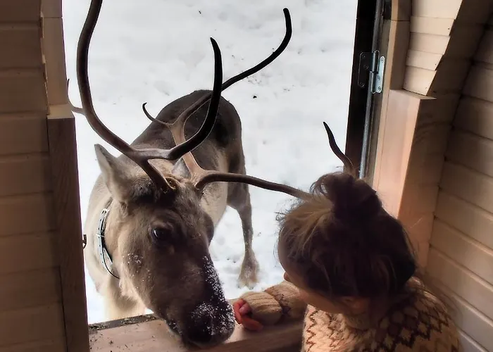 Igluhut - Sleep With Reindeer * Espoo