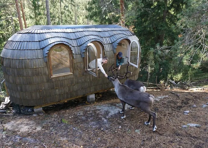 Igluhut - Sleep With Reindeer Loma-asunnot