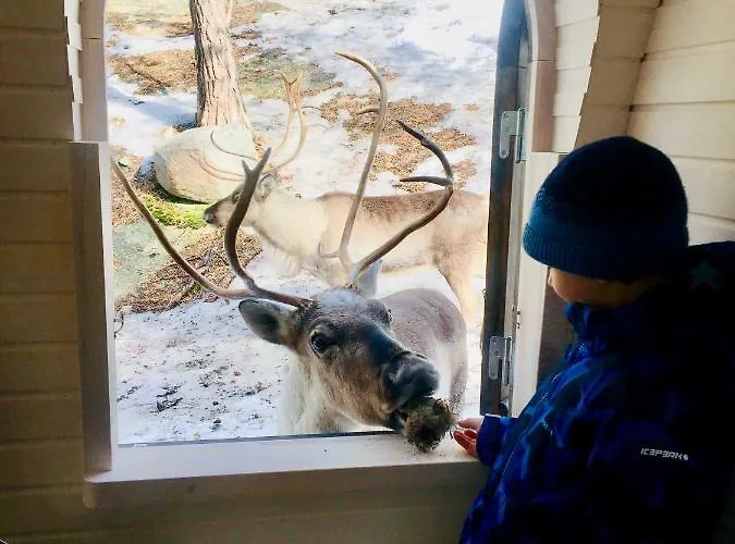 Loma-asunnot Igluhut - Sleep With Reindeer